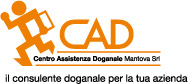 2010-10 CAD Mantova - logo